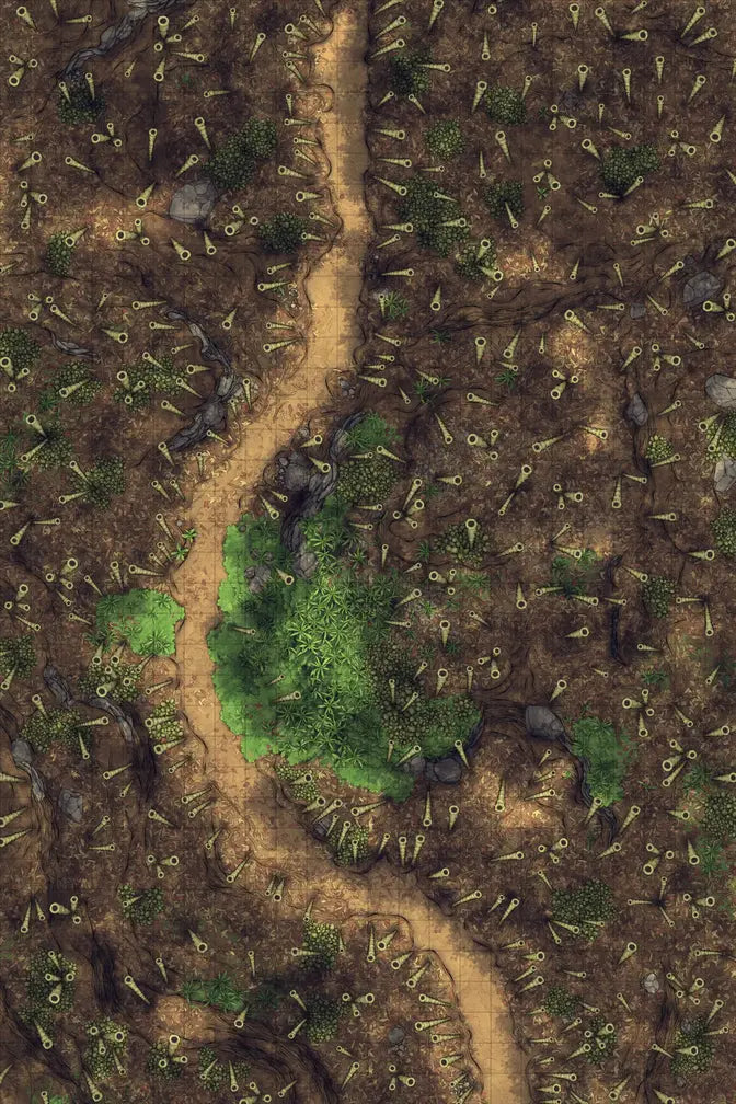 Bamboo Forest Shrine Battlemap - overhead view dirt path - Digital, Foundry VTT, Print
