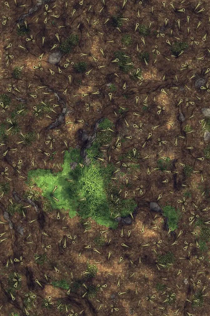 Bamboo Forest Shrine Battlemap - overhead view grassy rocky terrain - Digital, Foundry VTT, Print