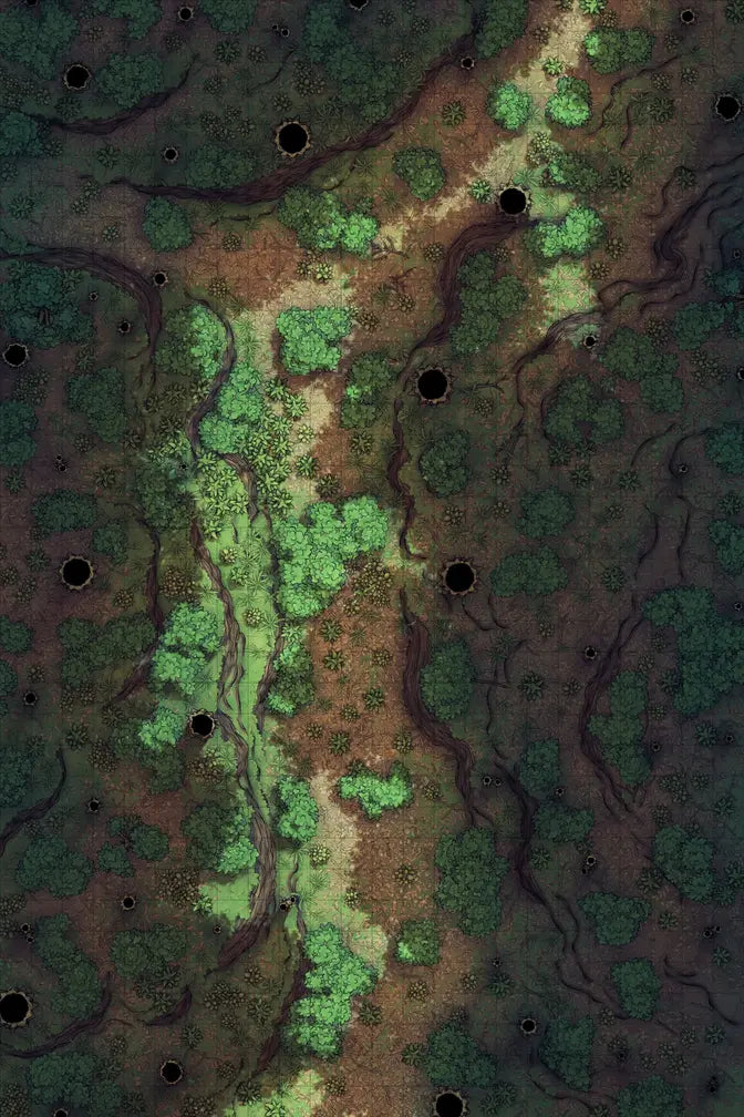 Forest Floor Pack Battlemap - overhead view forest path - Digital, Foundry VTT, Print