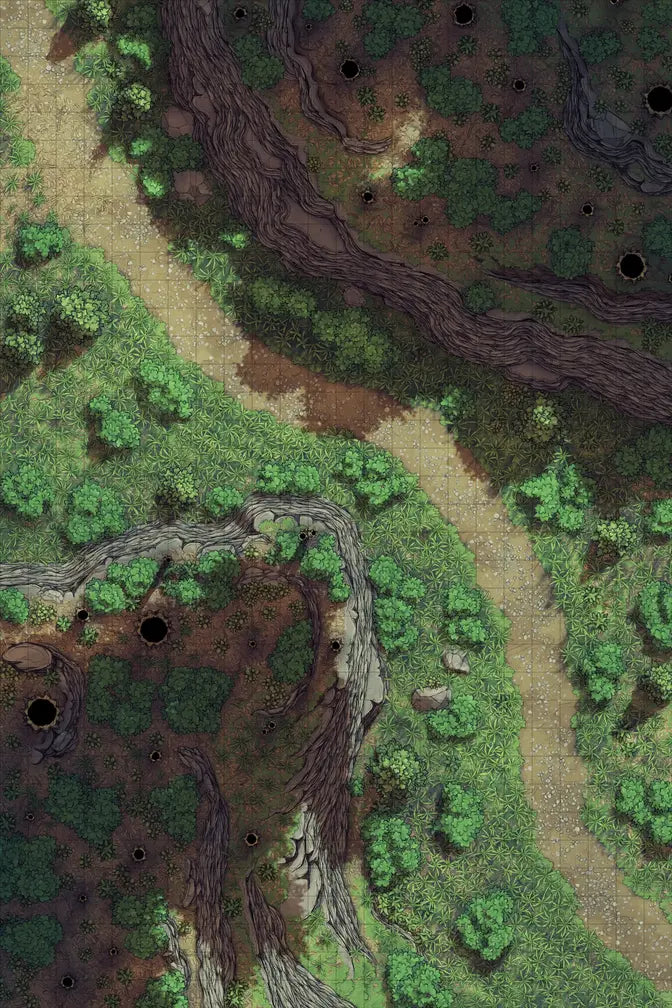 Forest Floor Pack Battlemap - overhead view forest path - Digital, Foundry VTT, Print