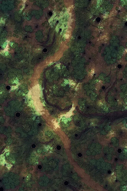 Forest Floor Pack Battlemap - overhead view forest path - Digital, Foundry VTT, Print